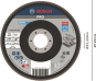 Bosch Fächerschleifscheibe    2608607326 