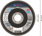 Bosch Fächerschleifscheibe    2608607323 