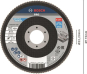 Bosch Fächerschleifscheibe    2608607325 