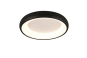 TRIO Deckenleuchte CARDONA 29W 649614532 