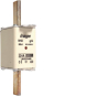 Hager Sicherungseinsatz NH2C   LNH2224M6 