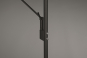 Trio LED-Stehl BRANTFORD 30W   425610232 