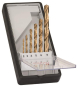 Bosch Metallbohrer-Set Robust 2607010530 