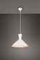 Trio Pendelleuchte ENZO,1x E27 R30781931 