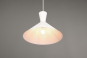 Trio Pendelleuchte ENZO,1x E27 R30781931 