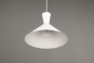 Trio Pendelleuchte ENZO,1x E27 R30781931 