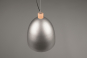 Trio Pendelleuchte JAGGER      R30681967 