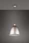 Trio Pendelleuchte JAGGER      R30681967 