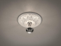 Trio Wand-und Deckenleuchte    603300101 