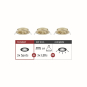 Paulmann EBL Choose 3er Spot       92489 