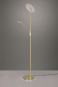 Trio LED-Stehl BRANTFORD 30W   425610208 