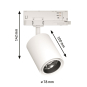Paulmann ProRail3 Spot Kratos 10W  96562 