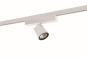 RIDI CIRQUA-L 1X3600-830 M     0321967AH 