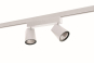 RIDI CIRQUA-L 1X3600-830 M     0321967AH 