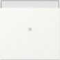 GIRA 367027 Wippe Kontrollfenster+BSF 