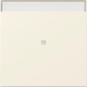 GIRA 367001 Wippe Kontrollfenster+BSF 