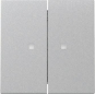 GIRA 363126 Wippe 2fach Kontrollfenster 