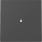 GIRA 3290005 Wippe Kontrollfenster 