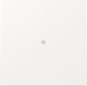 GIRA 329070 Wippe Kontrollfenster F200 