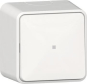 GIRA 315613 Wipptaster Wechsler 