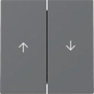 GIRA 329428 Wippe 2fach Pfeil System 55 
