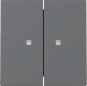 GIRA 363128 Wippe 2fach Kontrollfenster 