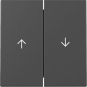 GIRA 3294005 Wippe 2fach Pfeil System 55 
