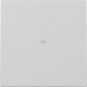 GIRA 3290015 Wippe Kontrollfenster 