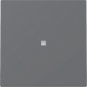 GIRA 329028 Wippe Kontrollfenster 