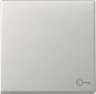 GIRA 3287600 Wippe Symbol Tür System 55 