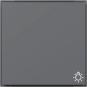 GIRA 328567 Wippe Symbol Licht TX_44 