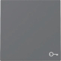 GIRA 328728 Wippe Symbol Tür System 55 