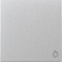 GIRA 328526 Wippe Symbol Licht System 55 
