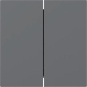 GIRA 349528 Wippe 2fach gerade System 55 