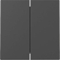 GIRA 3295005 Wippe 2fach System 55 