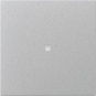 GIRA 349026 Wippe gerade Kontrollfenster 
