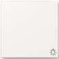GIRA 328566 Wippe Symbol Licht TX_44 