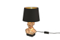 Trio Tischleuchte ALBERT,1x    R50311080 