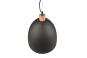 Trio Pendelleuchte JAGGER      R30681932 