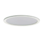 RIDI Glasscheibe für DGOD 195 W  0202739 
