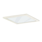 RIDI DQ195-SK-G-D-W LED-Leuchten 0204436 
