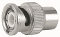 TEGA                         J01006A0020 