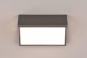 TRIO LED Wandleuchte NESTOS    240960142 
