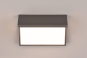 TRIO LED Wandleuchte NESTOS    240969142 