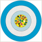 ACOME A/I-DQ(ZN)BH 1x24G50/125 