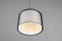 TRIO Pendelleuchte BURTON      311400132 