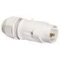 BALS Kleinspannungs-Stecker 16A 2p  4427 