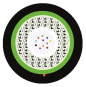 LAPP      HITRONIC HQW3000 12E 9/125 OS2 