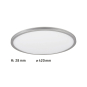 Paulmann P Atria Shine 20W RGBW    71019 