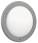 Albert Wand/Deckenleuchte Typ Nr. 626419 